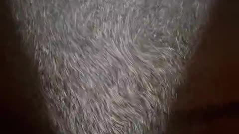 Chemtrails bei Nacht (siehe auch 👇)