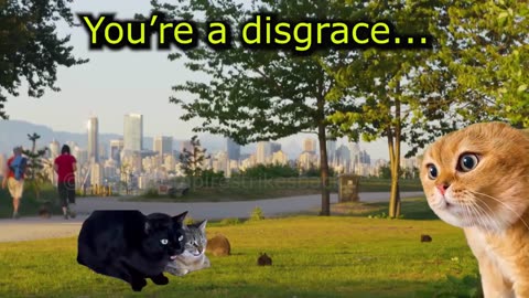 When Cats always get disturbed by villans (Ep.61)