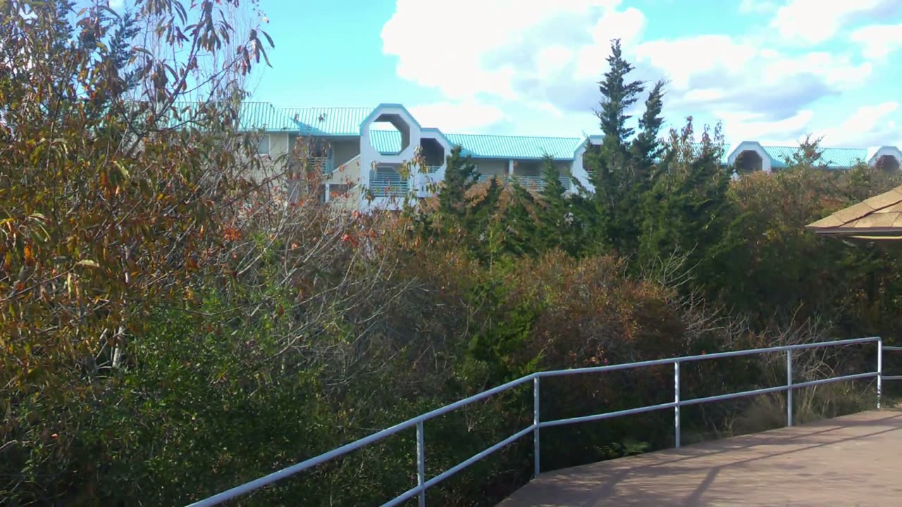 Grilling With Butane At The Beach