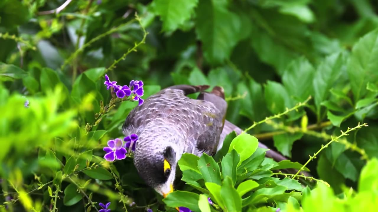 Calm Shore House Vibes