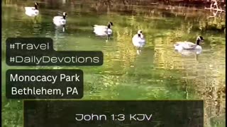 John 1:3 KJV “All things were made by him; and without him was not any thing made that was made.”