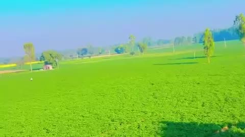 Best Green Village in india