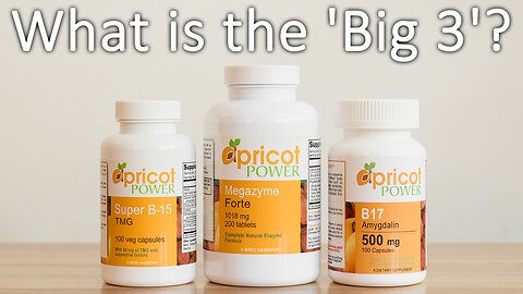 What is the 'Big 3'?