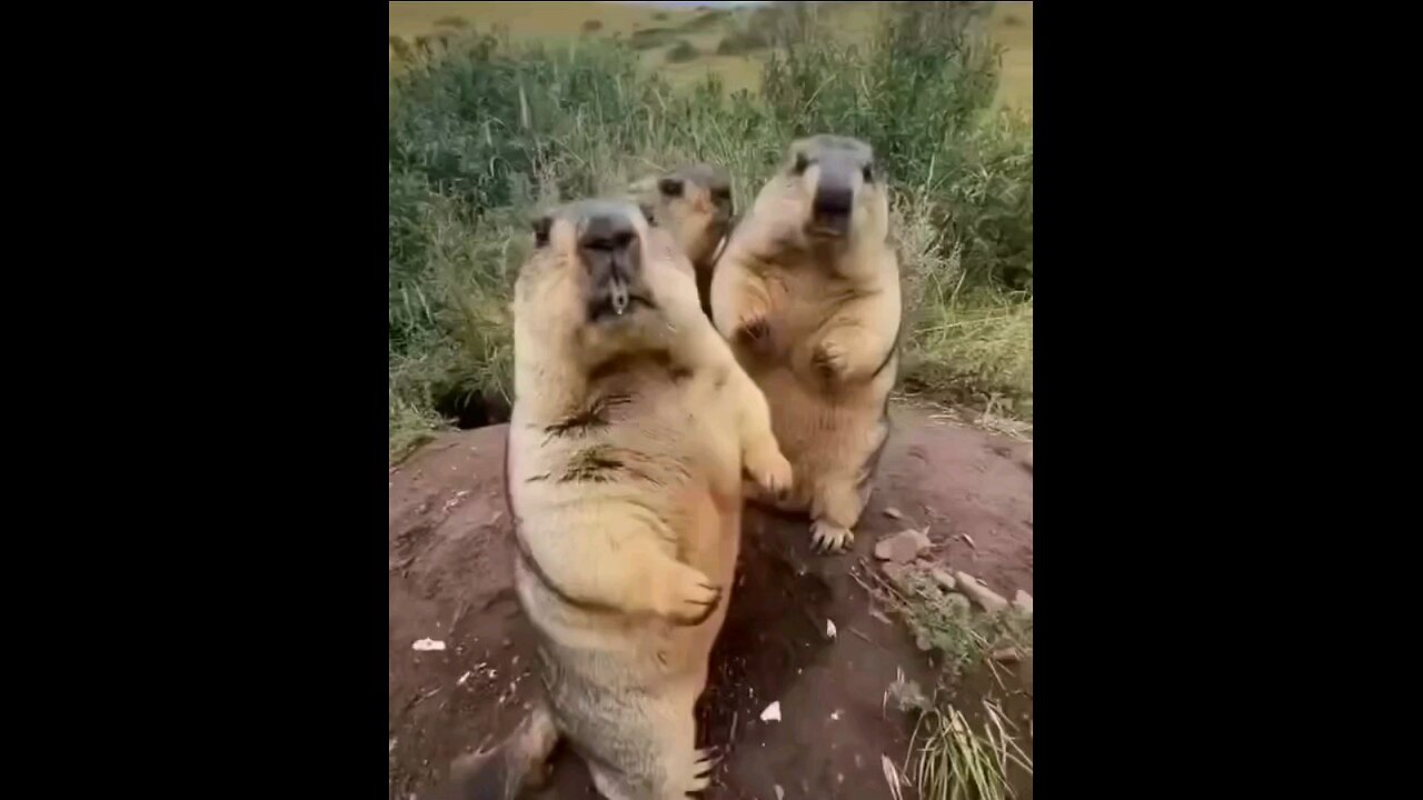 @#cute