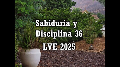 Sabiduría y Disciplina 36