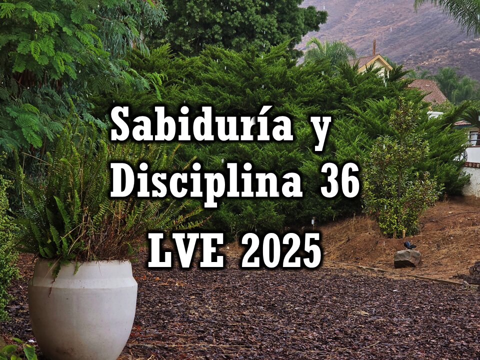 Sabiduría y Disciplina 36