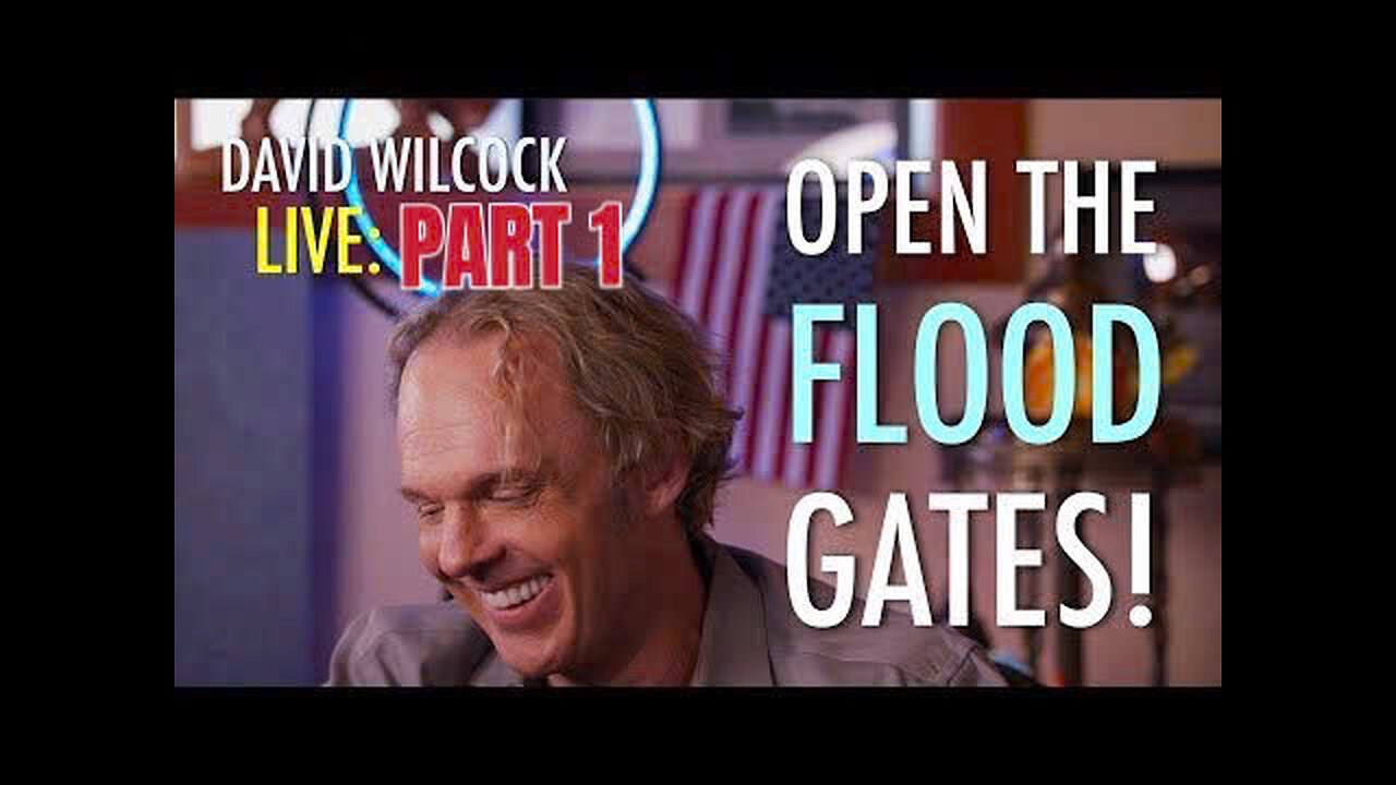 DAVID WILCOCK UPDATE 02.03.2025 : Open the Flood Gates! ( PART 1)