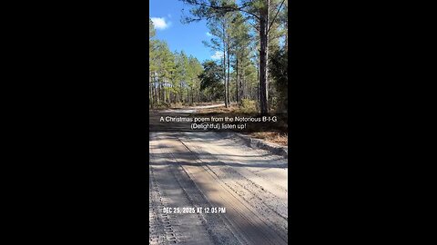 A Christmas poem for you all.