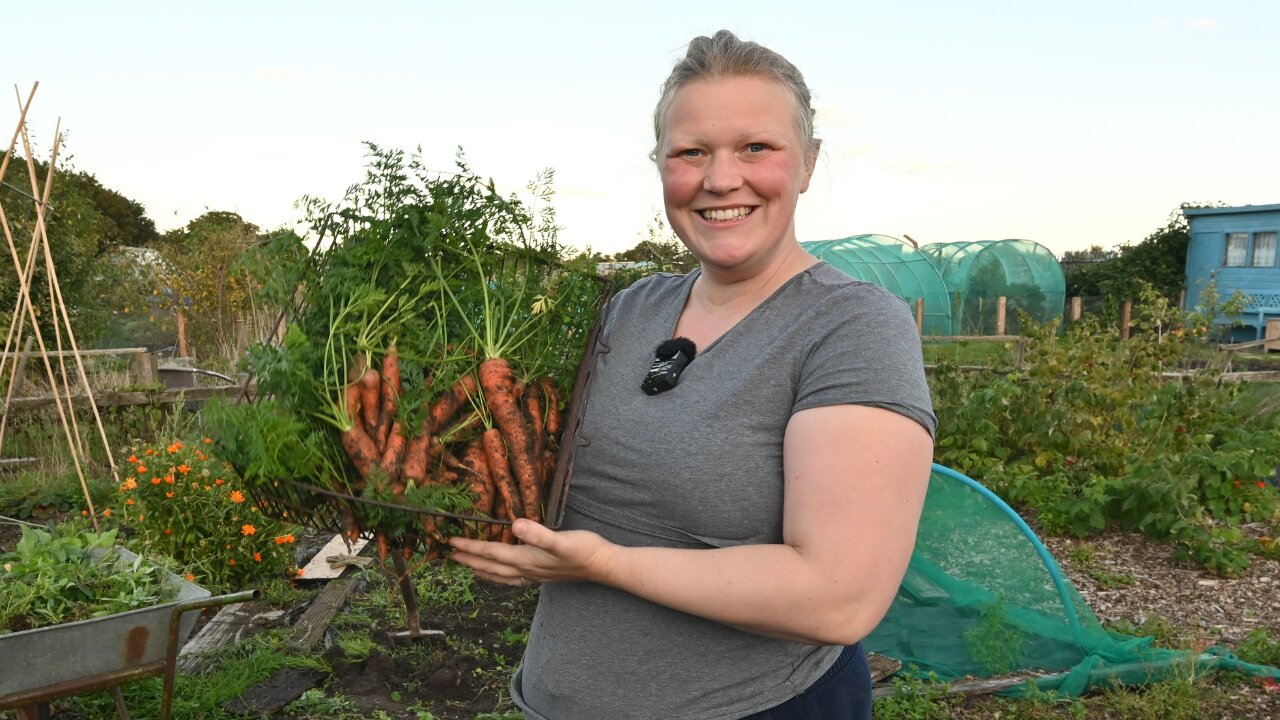 Strategies to Grow an ENTIRE YEAR’S Worth of Food WITHOUT a Homestead