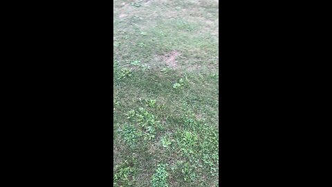tim riding his bike across the yard