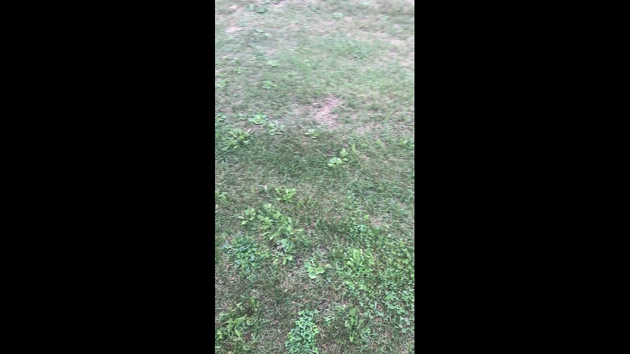 tim riding his bike across the yard