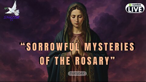🔴 Tuesday Sorrowful Mysteries of the Rosary October 14. 2025