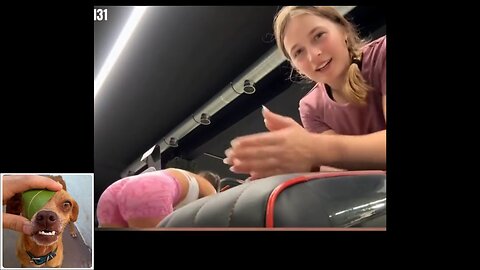 Funny videos compilation 42