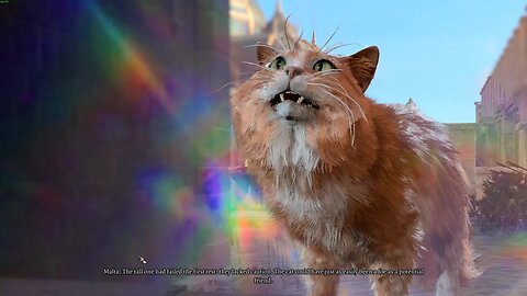 Failing the Most Important Dialogue - Baldur's Gate 3