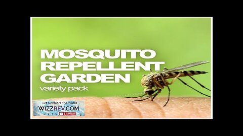 All-in-One Mosquito Repellent Garden Variety Pack – Seeds Review