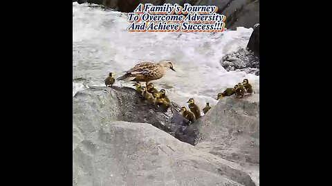 A Family's Journey to Overcome Adversity and Achieve Success___