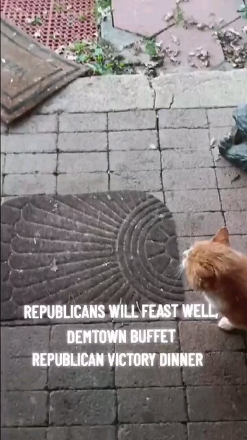 Republicans feast