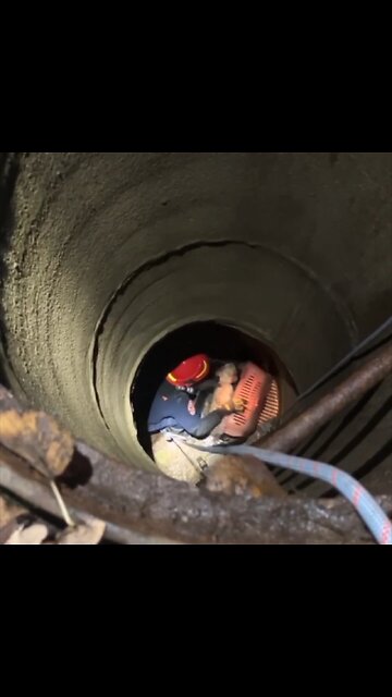 Perra queda atrapada en agua helada dentro de una alcantarilla