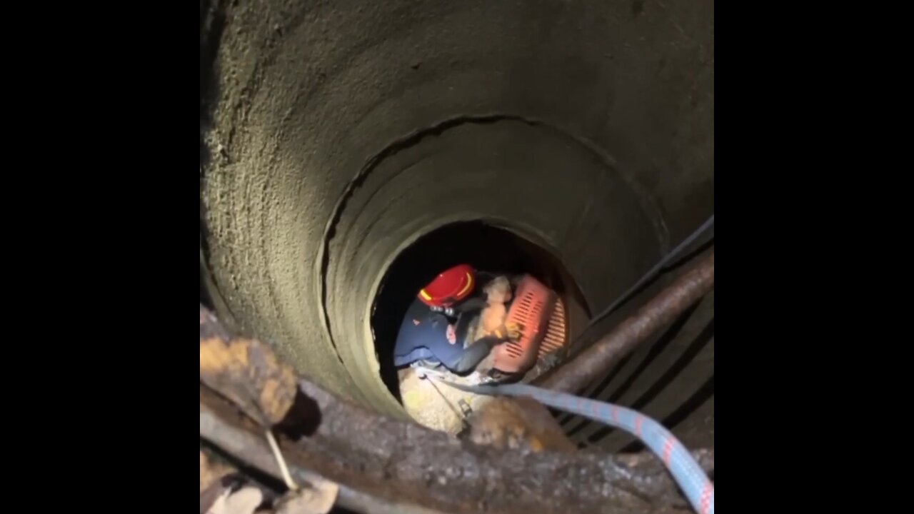 Perra queda atrapada en agua helada dentro de una alcantarilla