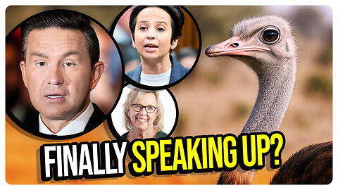 Canadian Politicians FINALLY Speak Up About the Ostrich Crisis in Canada? Poilievre is a CHICKEN! 