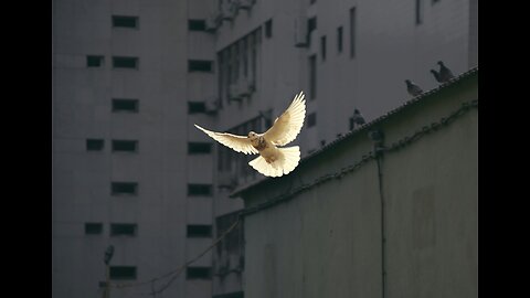 424: Kleinig - The Role of the Holy Spirit in the Divine Service