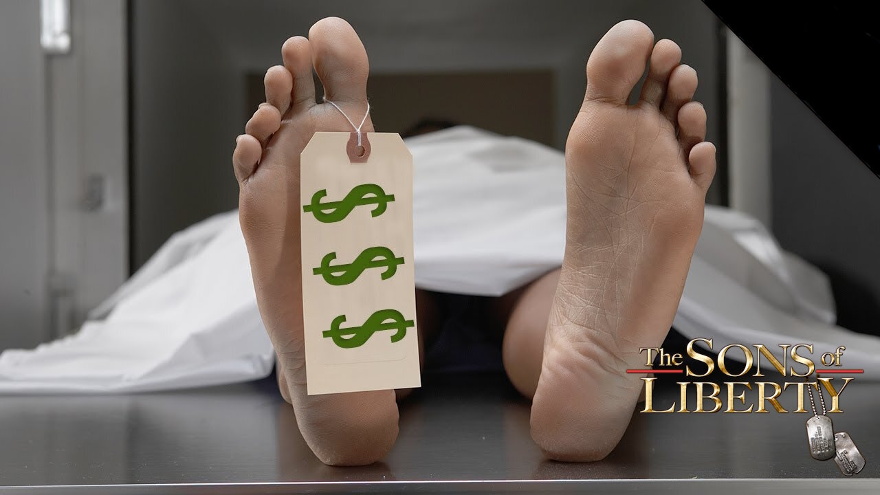 Kate Shemirani: YOU Are The Cash Cow!