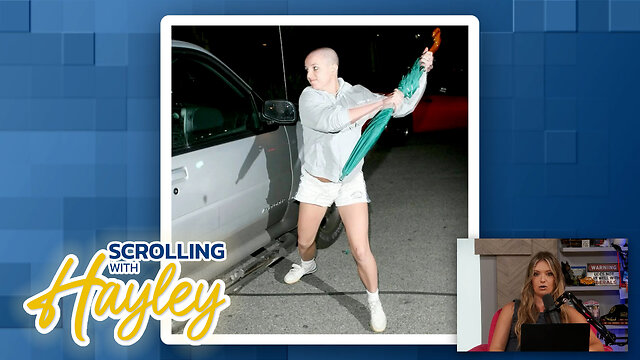 We've Seen It All Before - Hayley thumbnail