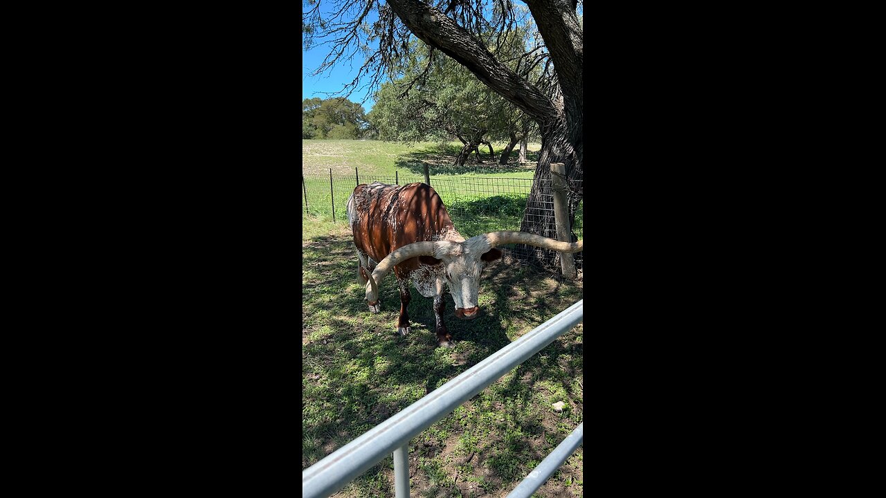 Biggin is so sweet. He has no friends