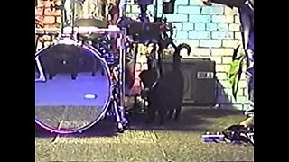 Should I stay or should I go (011026)