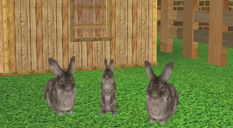I have a Bunny family! | Bunny Simulator