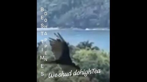 VID_20250105_085648_478.mp4