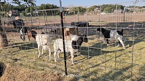 Graham Family Farm NW: 9:00 AM September 26 2025