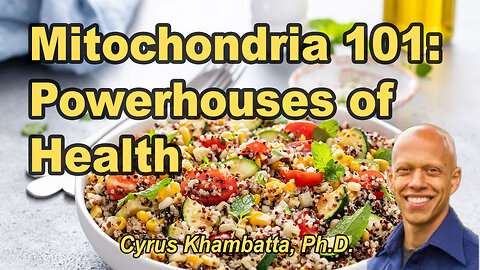 Mitochondria 101: Powerhouses of Health