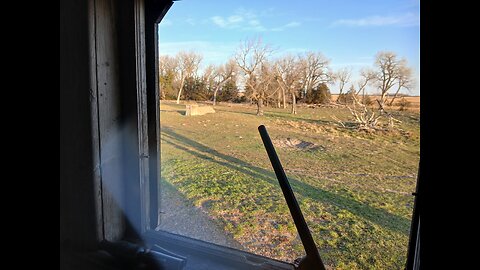 Gump shoots at a buck....