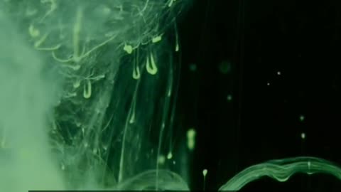 Daily Horoscope | Aquarius 🌟