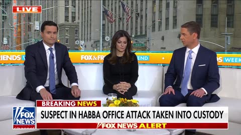 BREAKING: Suspect accused of attacking Alina Habba's office in custody