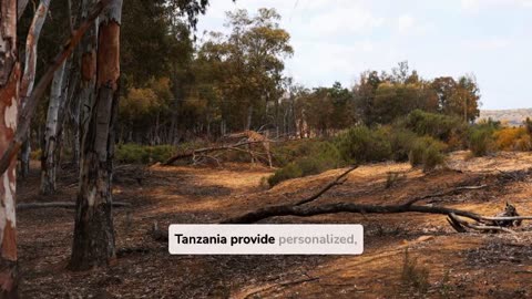 Experience Journey on a Safari Tanzania Journey