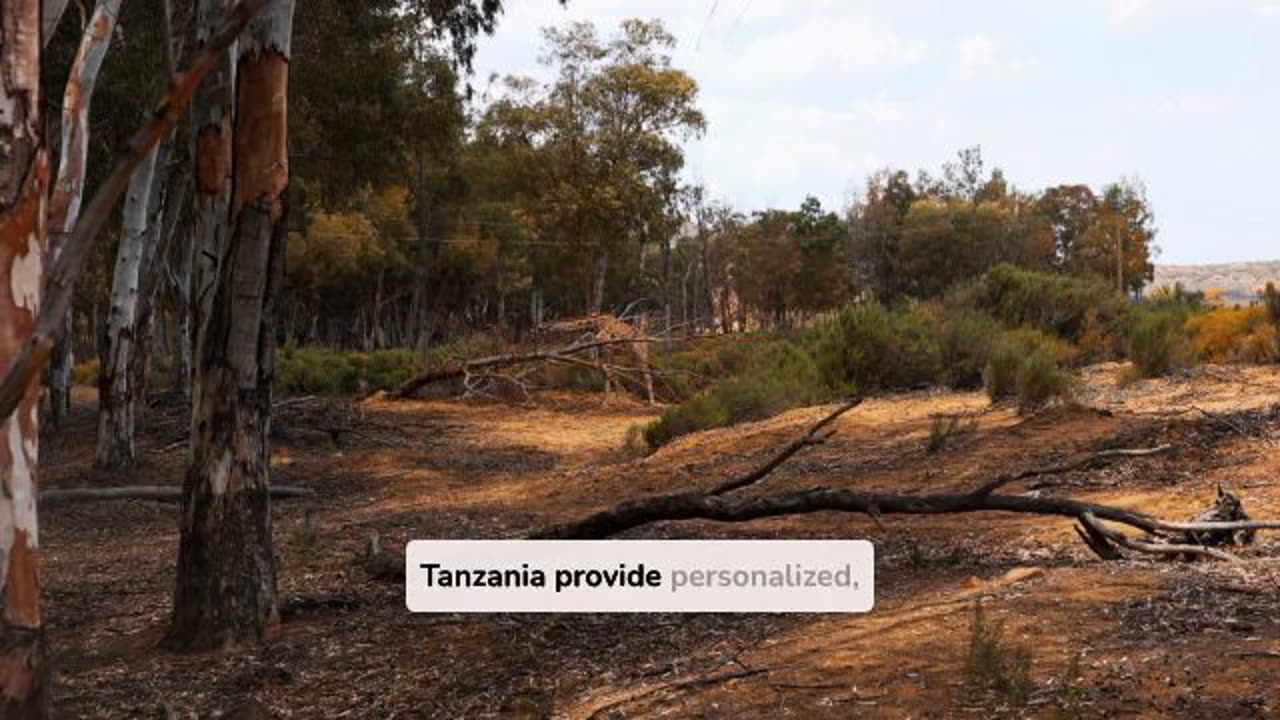 Experience Journey on a Safari Tanzania Journey