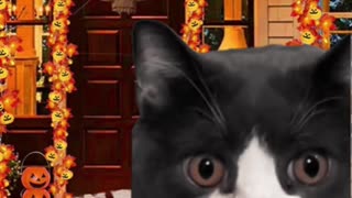 Do kids like smarties?