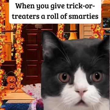 Do kids like smarties?