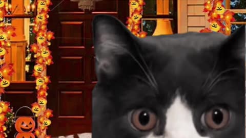 Do kids like smarties?