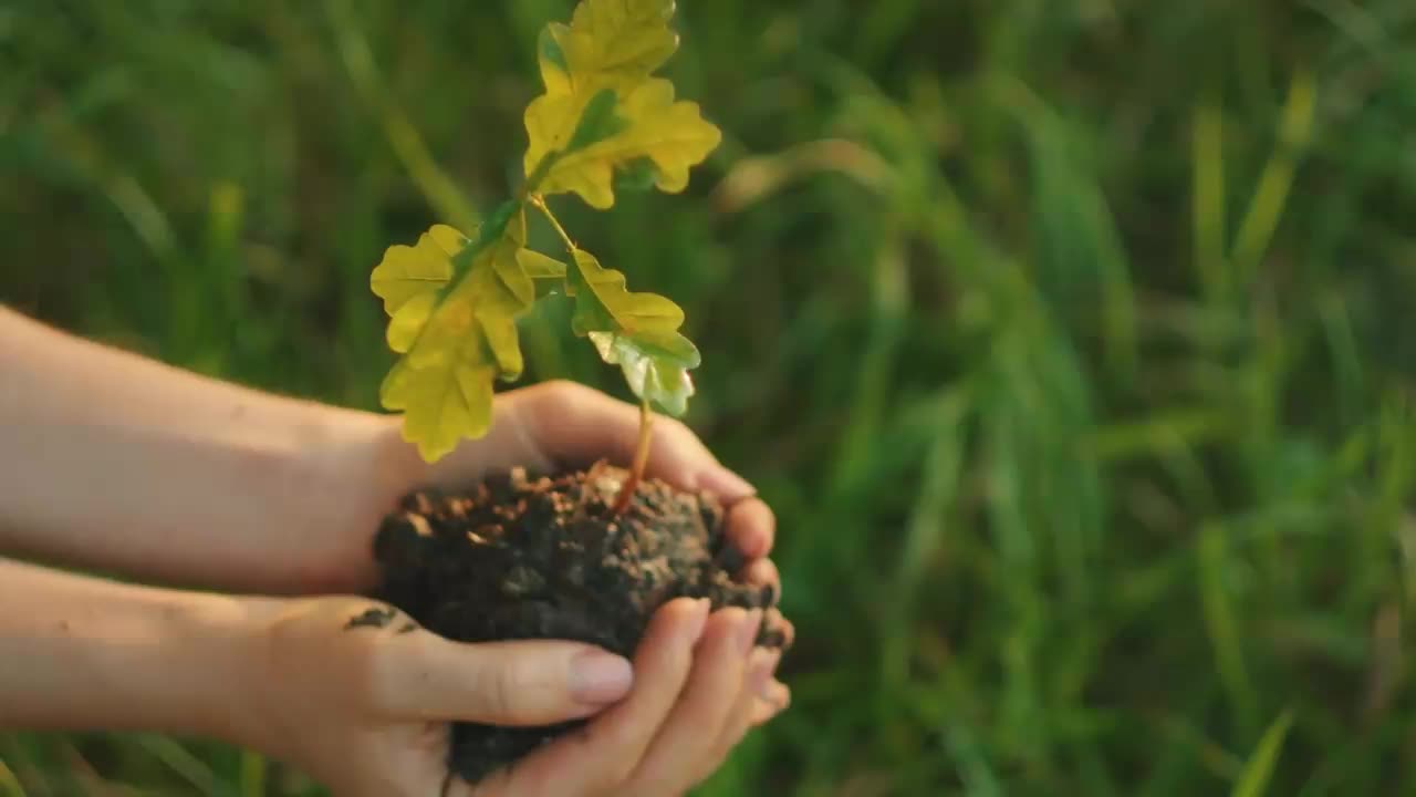How Negative Thoughts Form in Your Brain (And How to Uproot Them