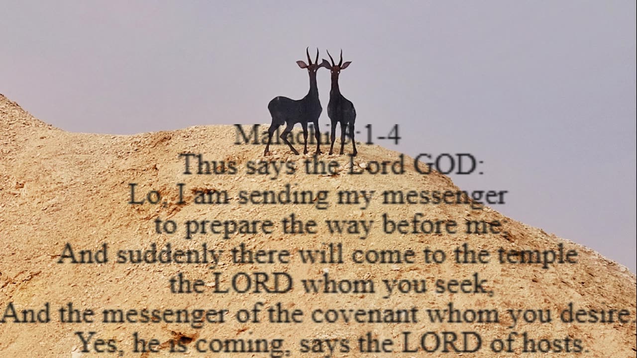 A reading from the book of Malachi, 3:1-4