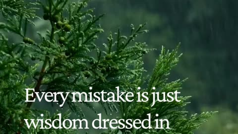 Turn Every Mistake Into Your Secret Weapon 💡 | Wisdom in Disguise