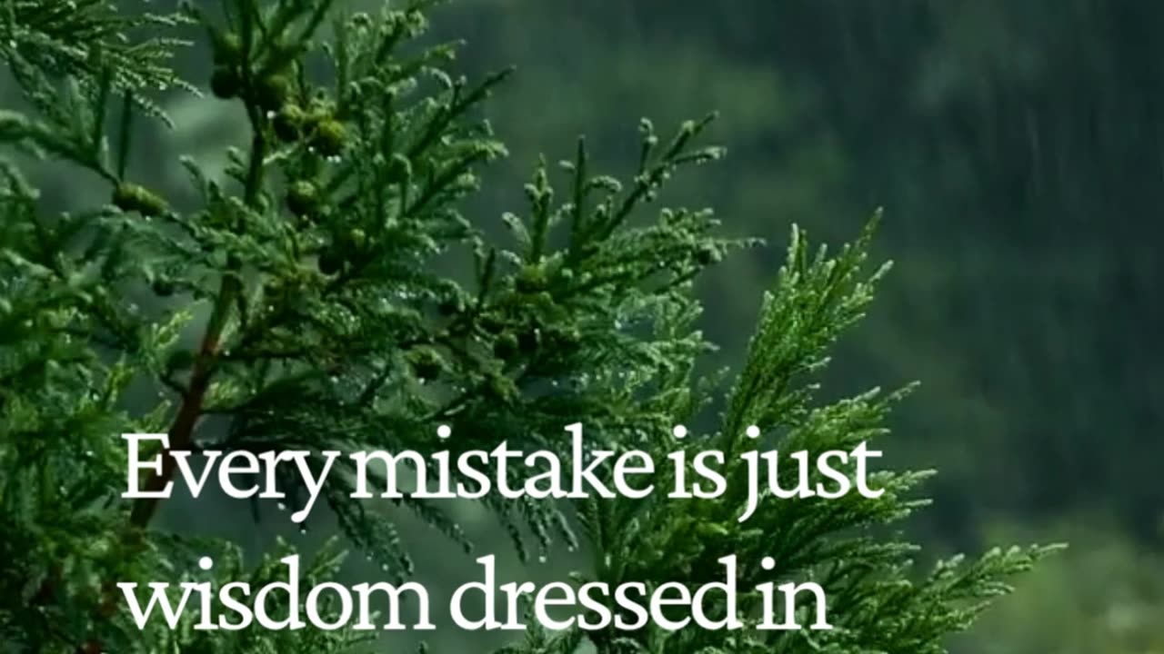 Turn Every Mistake Into Your Secret Weapon 💡 | Wisdom in Disguise