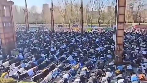 This is not the Middle East, it is Italy and they are being forced in to the great replacement.