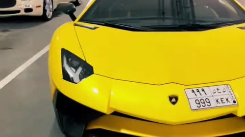 🤩💨 This Luxury Car's Performance is Mind-Blowing! | LuxurySportsCars