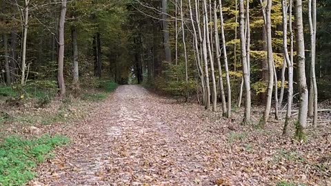 How progressive good intentions under the neoliberal capitalist order are paving the way to fascism