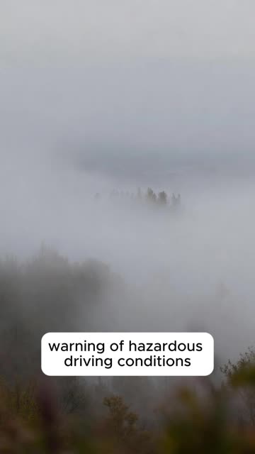 Dense Fog Advisory Hits Benton and Linn Counties Until Midday