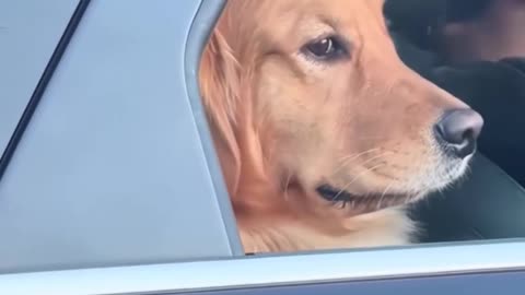 Politely declining your advances 🤣